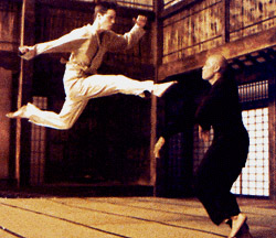 kungfu.jpg (34664 bytes)